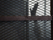 #خرجوا_المعتقلين: خوف من كارثة إنسانية قد يحدثها كورونا في المعتقلات المصرية