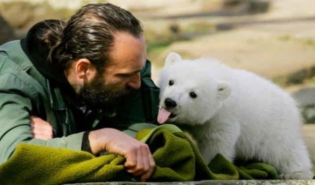 كورونا: حدائق حيوانات لندن المغلقة بحاجة لتبرعات لحمايتها