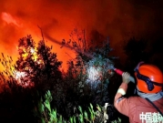 الصين: 19 قتيلا في حريق غابات ضخم
