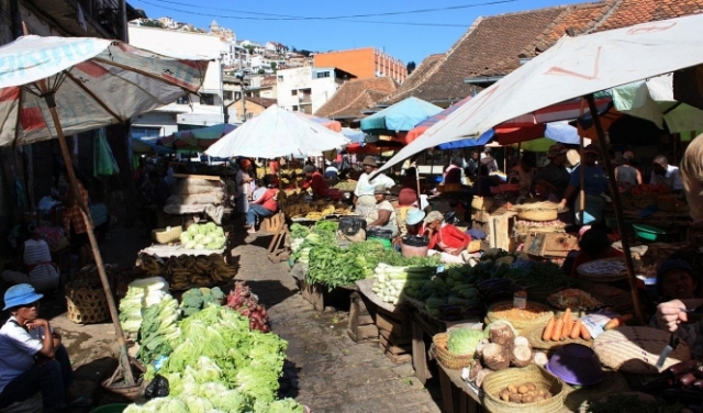 تجار مدغشقريون يروّجون الأعشاب الطبيعية كعلاج لكورونا