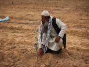 إسرائيل ترش مبيدات كيماوية على الأراضي الزراعية الحدودية بغزة