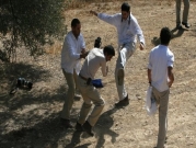 اعتدوا على فلسطينيين: هروب إرهابيي "شبيبة التلال" من حجر صحي