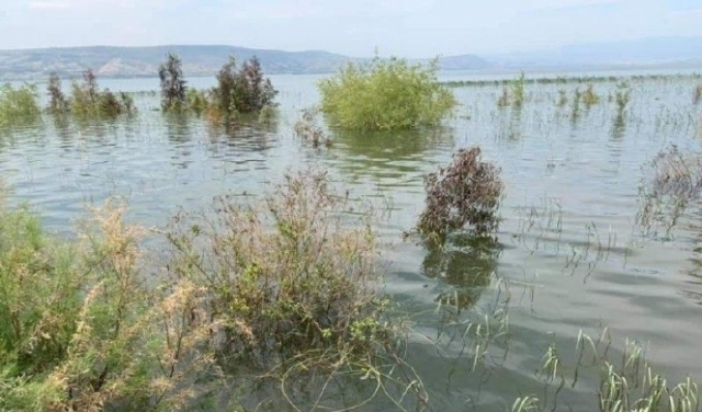 بحيرة طبرية: ارتفاع منسوب المياه بثلاثة أمتار منذ بداية الموسم