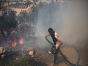 مستوطنون يحرقون مزروعات بنابلس والنيران تشتعل بمئات الدونمات بالأغوار