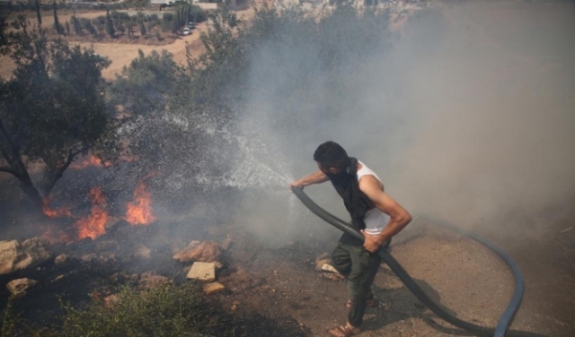 مستوطنون يحرقون مزروعات بنابلس والنيران تشتعل بمئات الدونمات بالأغوار