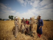غزة: مبادرة شبابية لدعم صمود المزارعين أمام انتهاكات الاحتلال