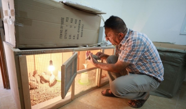 مبادرة فلسطينية شخصيّة لإنقاذ طائر الحجل من الانقراض