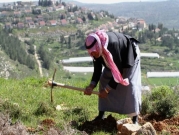 مستوطنون يعتدون على 3 فلسطينيين والاحتلال يقتحم منطقة المسعودية