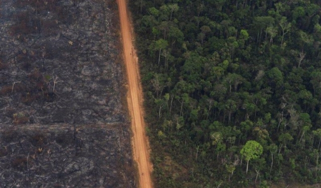 قطع أشجار الأمازون يبلغ رقمًا قياسيًا في 2020