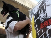 للحد من انتشار الأوبئة: تايوان تمنع التجارة بالحيوانات البريّة