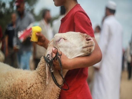 عيد الأضحى في غزة: أسواق "خالية" وقدرة شرائيّة ضعيفة