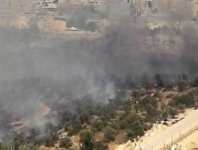 رام الله: حريق سببه مستوطن يأتي على مئات أشجار الزيتون