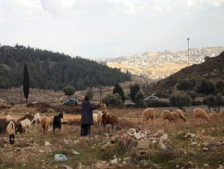 الخارجية الفلسطينية: البناء الاستيطاني الجديد "ضربة قاضية لحلّ الدولتين"