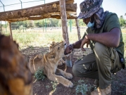 السودان: تأسيس محمية طبيعية لرعاية الحيوانات المهددة بالانقراض