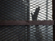 مصر: مطالب بالإفراج عن طالب موقوف منذ سنوات لحيازته كاميرا