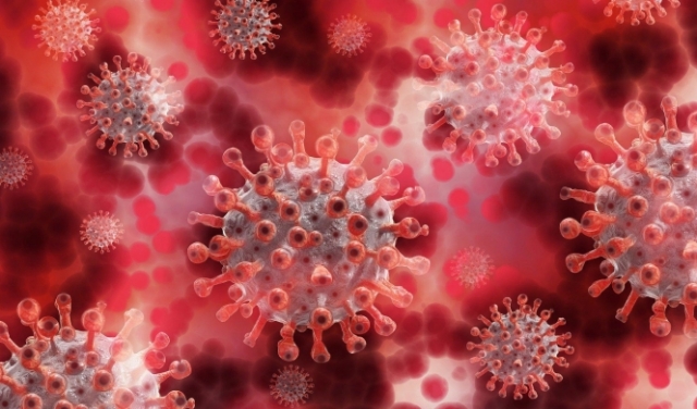 علاج فوري جديد لفيروس كورونا قد يستبدل التطعيم