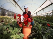فلسطيني يقاوم احتكار الاحتلال زراعة الأزهار النادرة