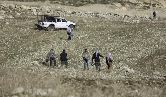 كفر مالك: فلسطينيون يستردون أراضيهم المسلوبة من المستوطنين 