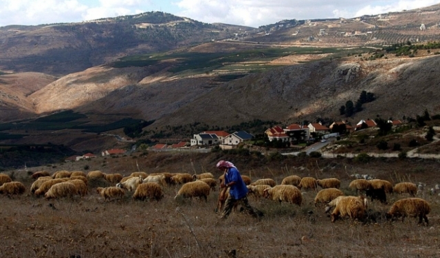 الاحتلال يعتقل راعي ماشية لبنانيا بزعم 
