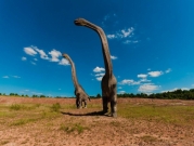 دراسة: اكتشاف أكبر ديناصور فَقري اكتشفه الإنسان 
