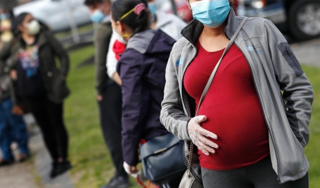 وزارة الصحة توصي الحوامل في الثلث الأول بعدم أخذ لقاح كورونا