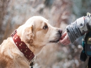 فرنسا: تدريب كلاب لرصد إصابات كورونا