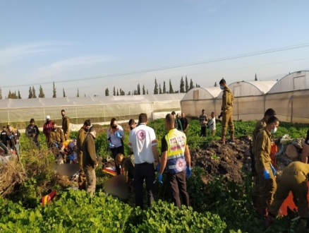 استشهاد فلسطيني دهسا من قبل مستوطن في الأغوار