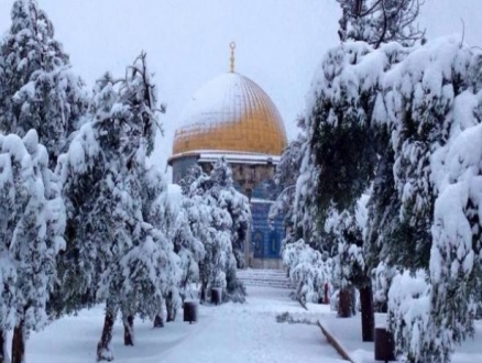 راصد جوي: عاصفة القدس الثلجية يوم الأربعاء المقبل