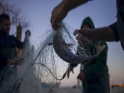 إلغاء حظر تسويق أسماك المتوسط