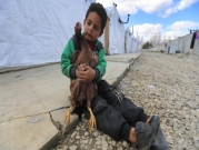 الأمم المتحدة: 60% من السوريين معرّضون لخطر الجوع هذا العام