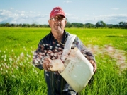 دراسة: تضاعُف خسائر المحاصيل بأوروبا ثلاث مرات جرّاء الجفاف في 50 عاما