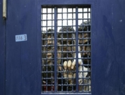 عشيّة يوم "الأسير"؛ 4500 معتقل في سجون الاحتلال