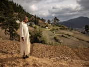 المغرب: مشروع تقنين زراعة القنّب الهندي.. المزارعون بين التفاؤل والتخوّف