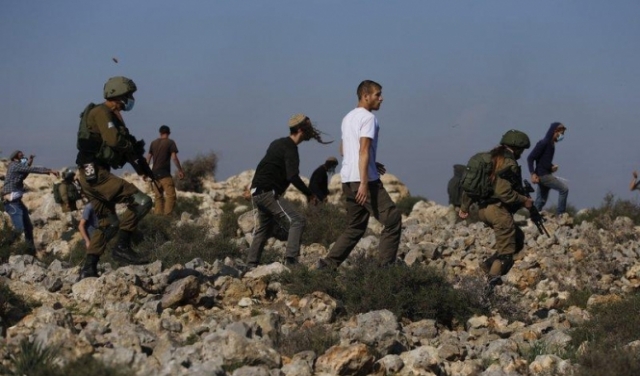 نابلس: مستوطنون حرقوا أراضي... فاعتقل الاحتلال فلسطينيين