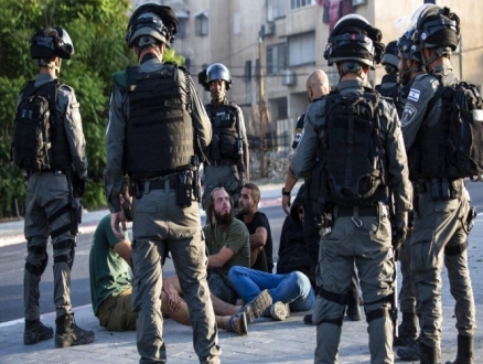 أبو شحادة لمفوضة الأمم المتحدة: نطلب الحماية الدولية للمواطنين الفلسطينيين بالداخل