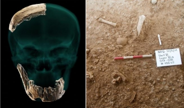 العثور على سلالة جديدة من الإنسان القديم قرب الرملة