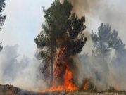إغلاق الشارع باتجاه القدس وإجلاء سكان  بسبب حريق في حرش
