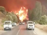 مقتل 5 أشخاص في حرائق غابات الجزائر