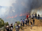 الجزائر تواصل جهودها لإخماد الحرائق: "أدلة علميّة بأنها إجراميّة"