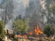  تجدد الحريق بجبال القدس.. النيران تشتعل بـ20 ألف دونم