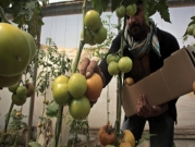إسرائيل توقع اتفاقا خاصا لاستيراد منتجات زراعية أردنية 