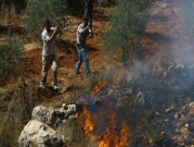 اعتقالات بالضفة ومستوطنون يضرمون النار بأشجار زيتون