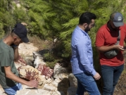 فلسطينيون يعثرون على سجل لعمليات الاحتلال قرب بدو