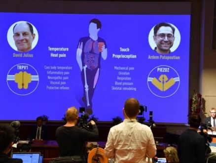 جائزة نوبل للطب 2021: فوز العالميْن الأميركيين ديفيد جوليوس وأرديم باتابوتيان