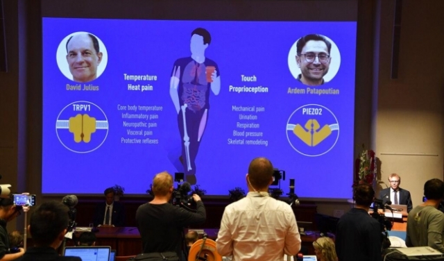 جائزة نوبل للطب 2021: فوز العالميْن الأميركيين ديفيد جوليوس وأرديم باتابوتيان