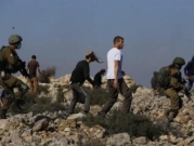 جنود الاحتلال "يتطوعون" في قطف العنب في مستوطنة