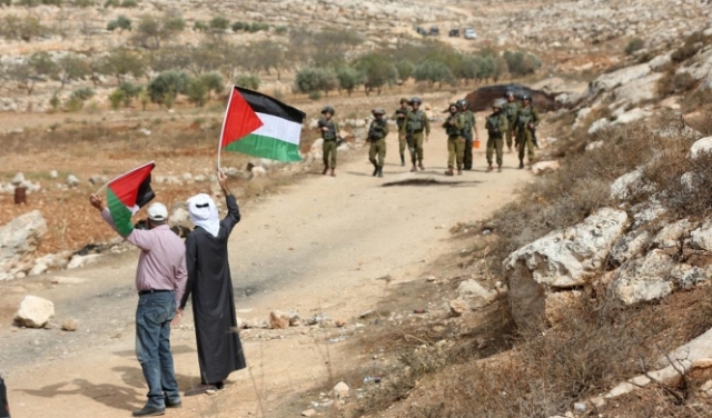 عشرات الإصابات إثر مواجهات مع الاحتلال بالضفة