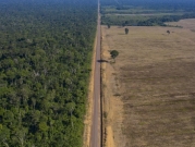 قفزة حادّة في معدلات إزالة غابات منطقة الأمازون