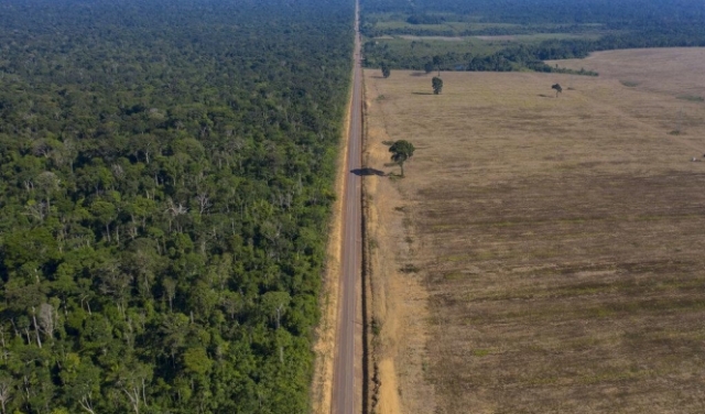 قفزة حادّة في معدلات إزالة غابات منطقة الأمازون