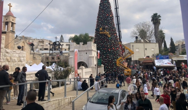 الناصرة: نصب أكبر شجرة ميلاد في البلاد